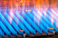 Mapledurham gas fired boilers